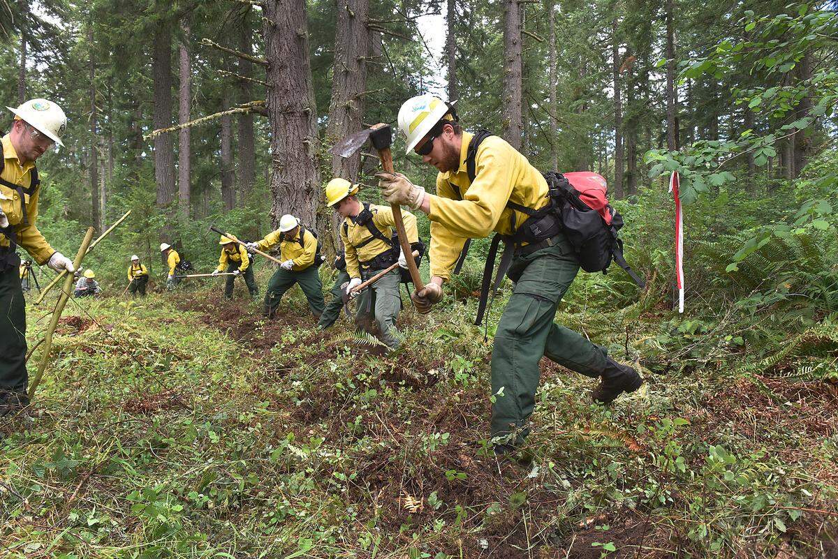 Crews work building practice fire lines during the Monday morning training session for the Dept. of Natural Resources’ western Washington interagency fire training academy on Joint Base Lewis McChord property and near the town of Rainier.
