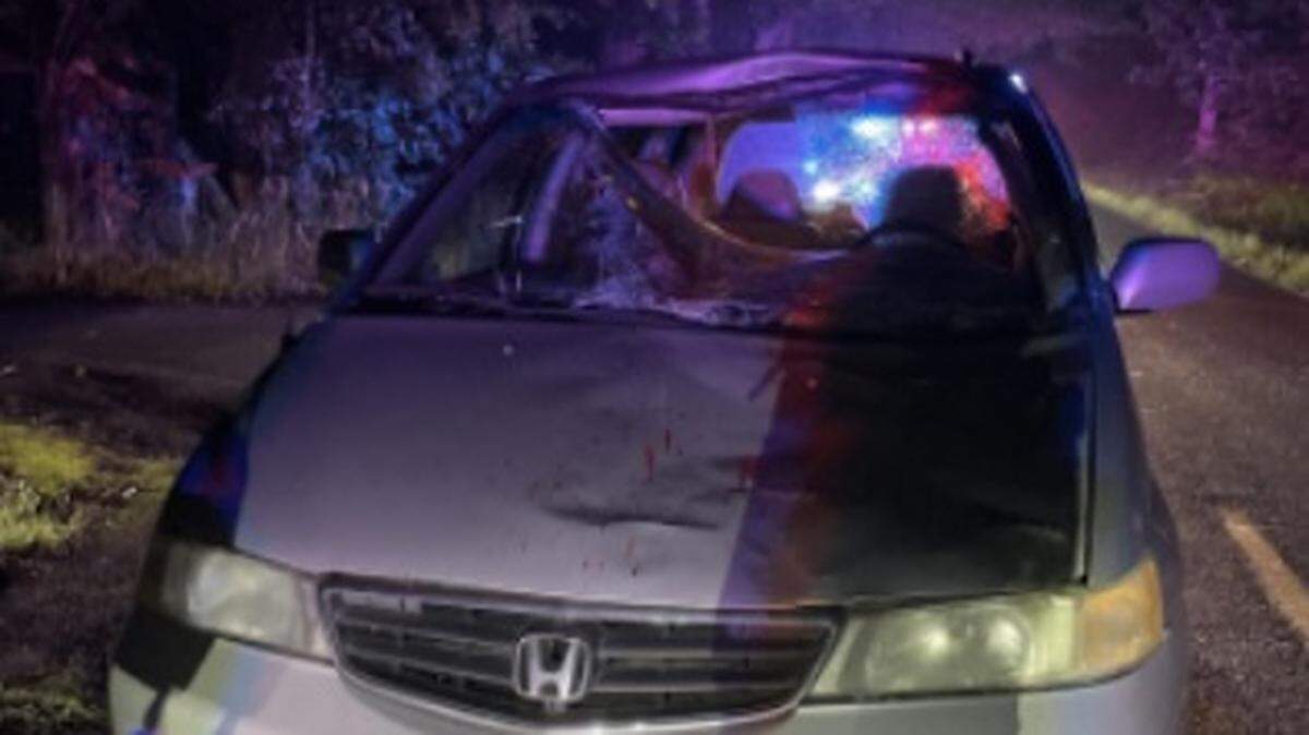 A Honda minivan was damaged Tuesday night when it crashed into a horse loose on Wiggins Road Southeast, killing the animal.