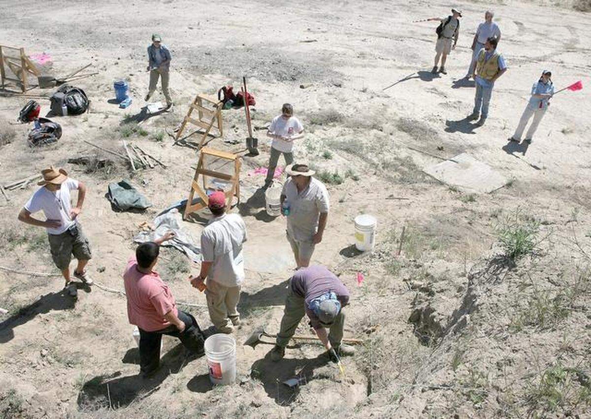 Mammoth dig