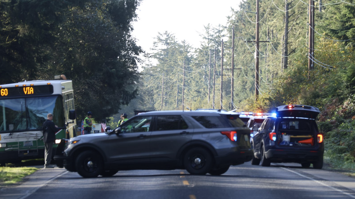 Troopers blocked State Route 115 near Ocean City State Park on Thursday, Oct. 10, 2024, after a bus driver struck and killed a pedestrian on the highway, according to Washington State Patrol.
