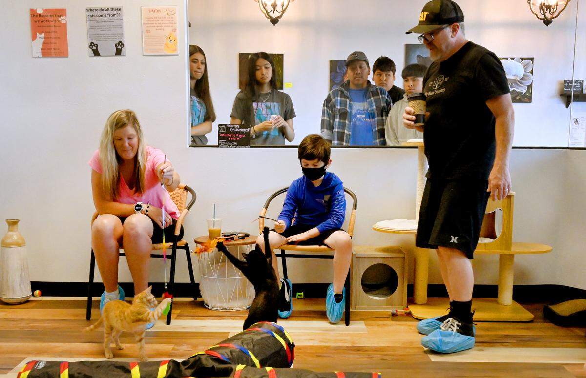 Jake and Alison Hathcock along with their 8-year-old son Koda entertain a pair of frisky felines as other visitors watch during their July 10 visit to the Pawsific NorthWest Cat Cafe in Olympia. Opened in May by owner and manager Tiffany Weitzel, it is an adoption platform for local rescues that do not have public shelters or buildings for adopters to meet and adopt cats and kittens, including strays and those who have been abandoned.