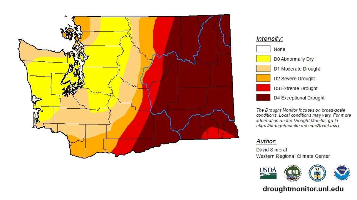 Nearly all of Thurston County has experienced a moderate drought as of Aug. 31, according to the United States Drought Monitor.