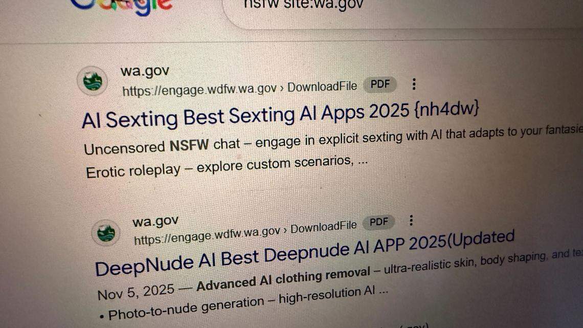 Multiple WA state government sites apparently hosted links to AI sex content