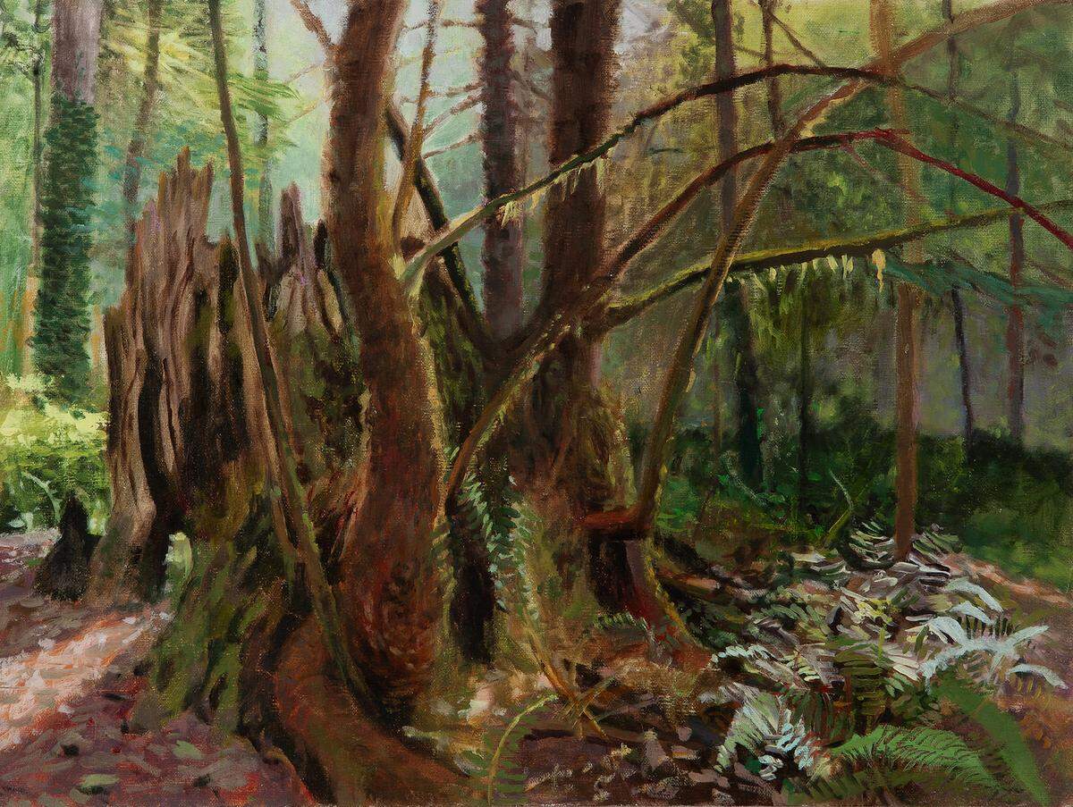Artist Kathy Gore Fuss has spent much of the past year observing and painting a nurse stump in Squaxin Park. She circled the tree, painting eight angles, each in a different month. Here is one of the angles.