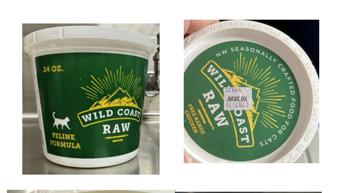 This batch of raw pet food is getting cats sick with bird flu. Here’s what to know