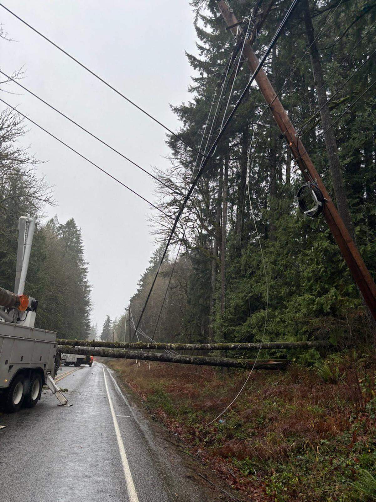 Trees were knocked into power lines near Kamilche in Mason County.