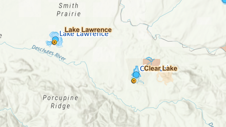 Swimmer’s itch reported at Thurston County lake, health officials warn
