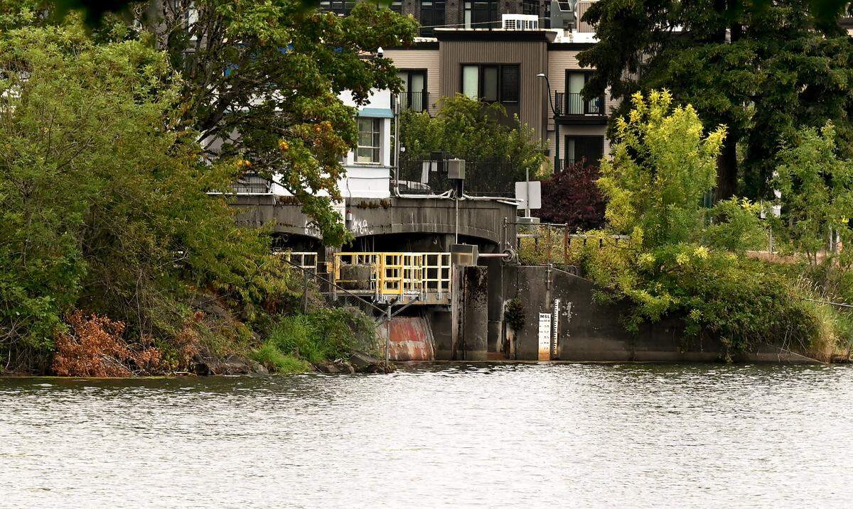 The Fifth Avenue Dam will be removed to drain Olympia’s Capitol Lake as part of the Deschutes Estuary Restoration Project. Photo taken August 6, 2024