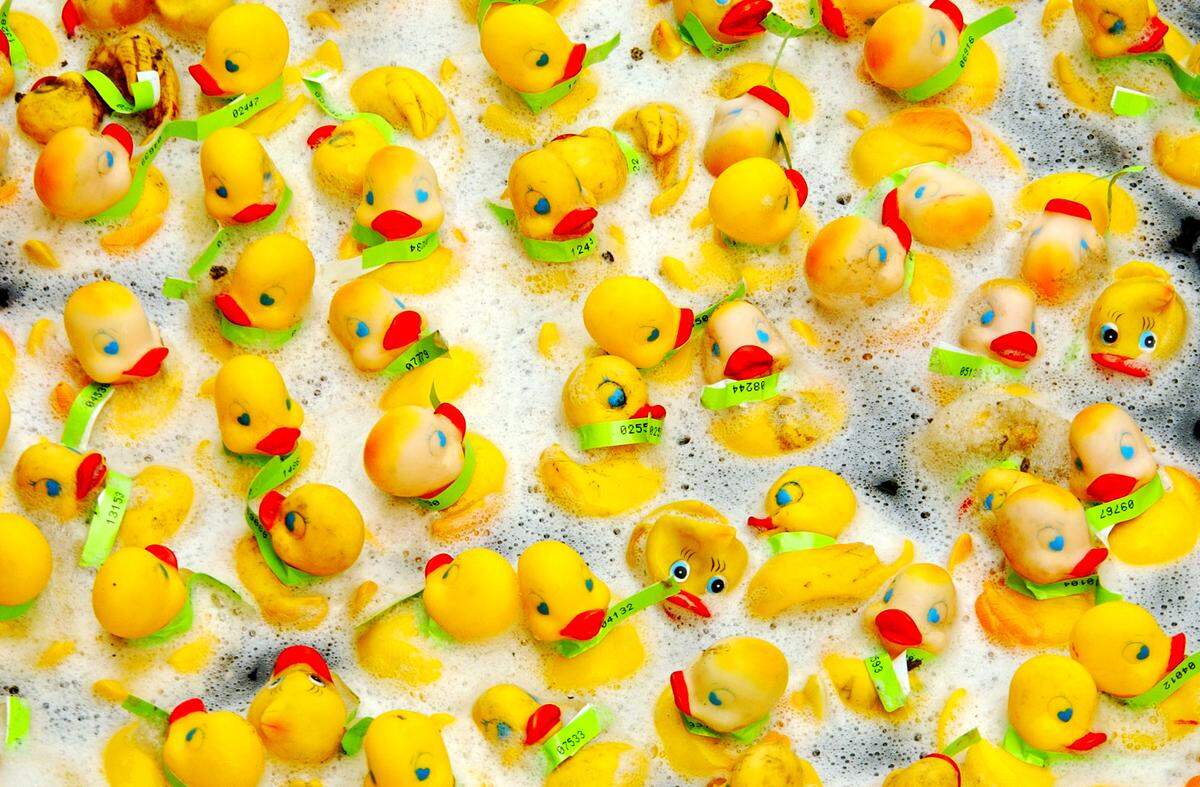 Hundreds of rubber ducks appear to be taking a bubble bath as they get caught in the foam of the Deschutes River during one of the past Lacey Rotary Duck Dashes. The Duck Dash is just a raffle now, but the event at the fairgrounds is still full of fun.