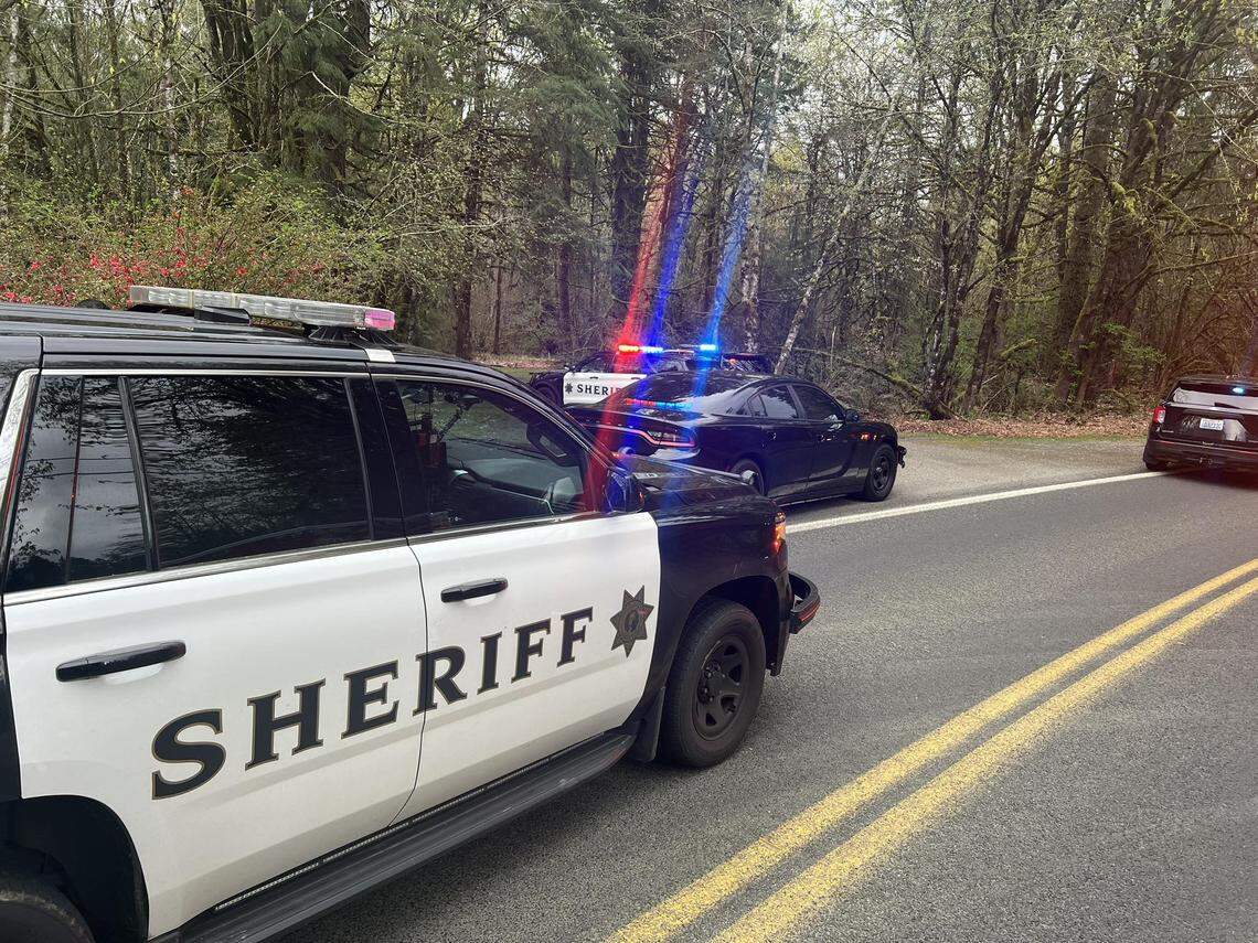 A 56-year-old man was arrested in the Black Lake area of Thurston County Sunday evening after allegedly pointing a gun at a partner.