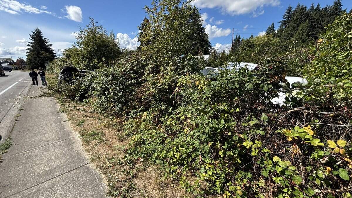 Thurston Co. crash knocked cars off I-5 and sent one into the bushes, WSP says