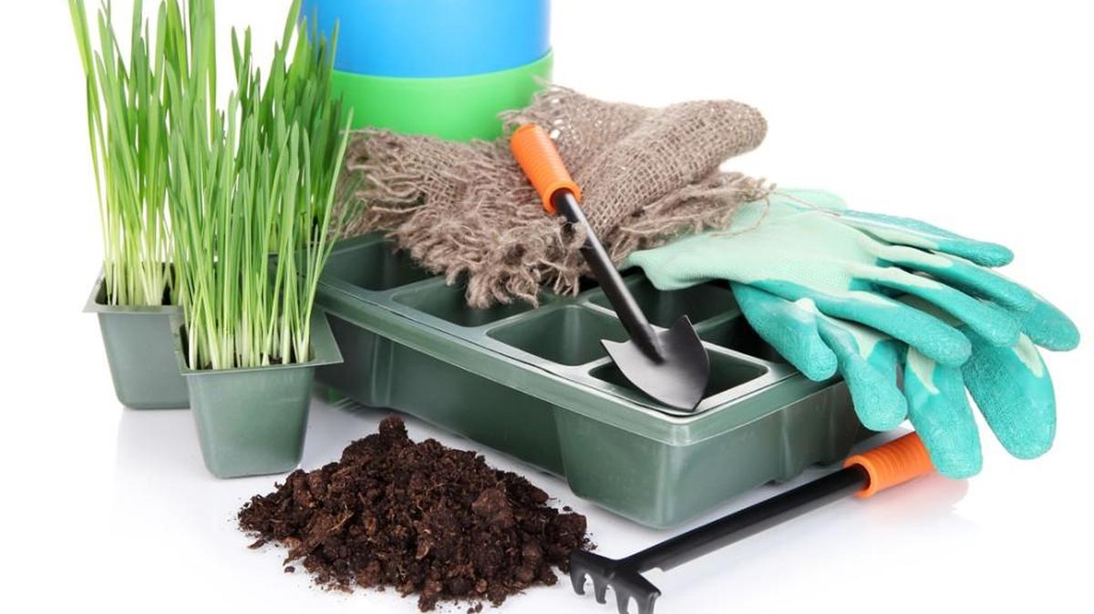 One way to keep potted plants happy is to add a fresh mulch of compost or moo doo on top of the potting soil every spring