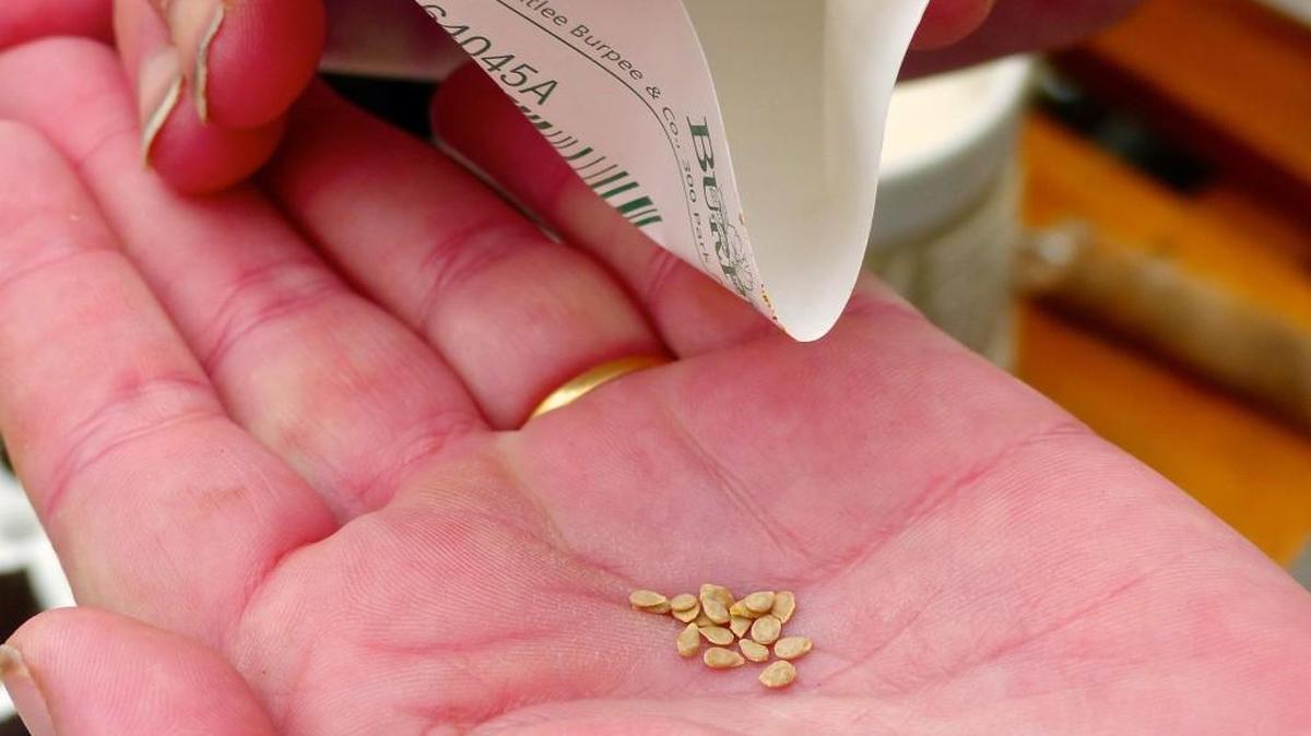 Early spring is here, time to plant seed. But note that planting seed this early will not work in every garden.