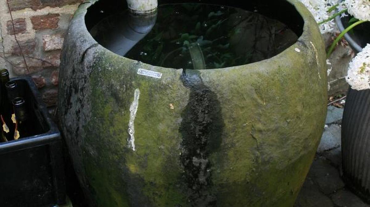 Try a rain barrel: simply dip a spray can into the surplus when you want to water plants.