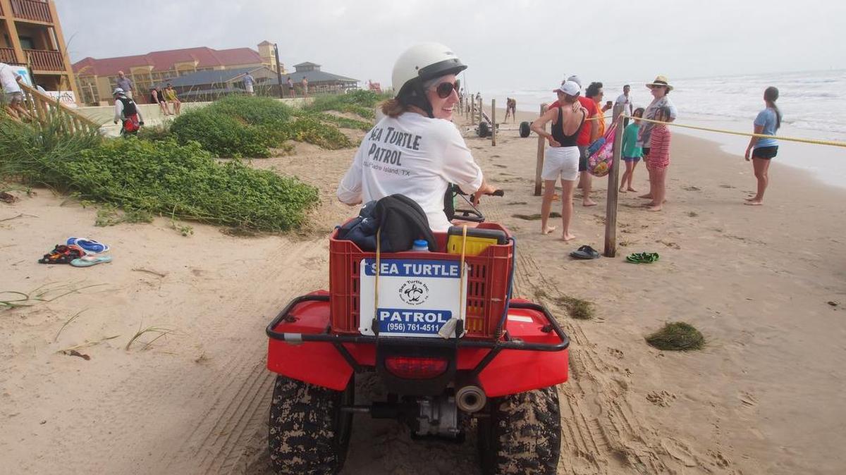 
A volunteer from Sea Turtle Inc. uses an ATV to patrol the beach at South Padre Island.
