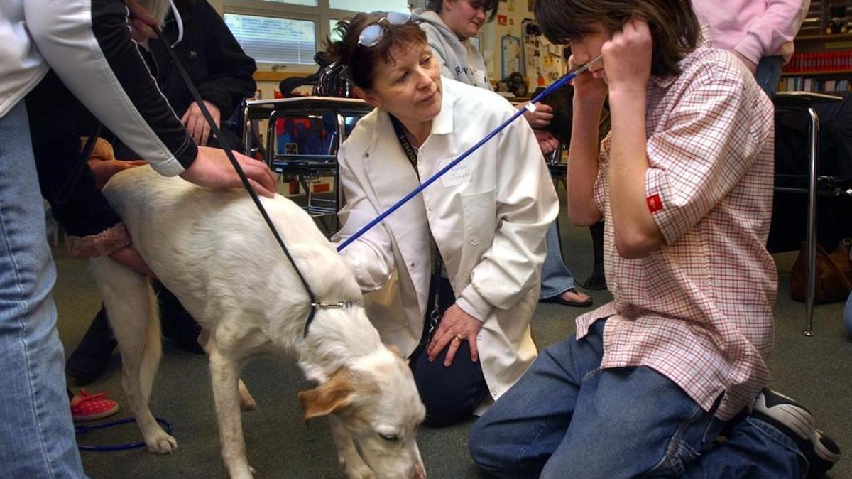 Dr. Noreen Jeremiah shows Tumwater Middle School 8th-grader Andrew Stutzman how to check the heart rate on her dog, T, during the veterinary medicine workshop at the Thurston County Chamber Foundation's "Find Your Future" career day Saturday at Olympia High School.