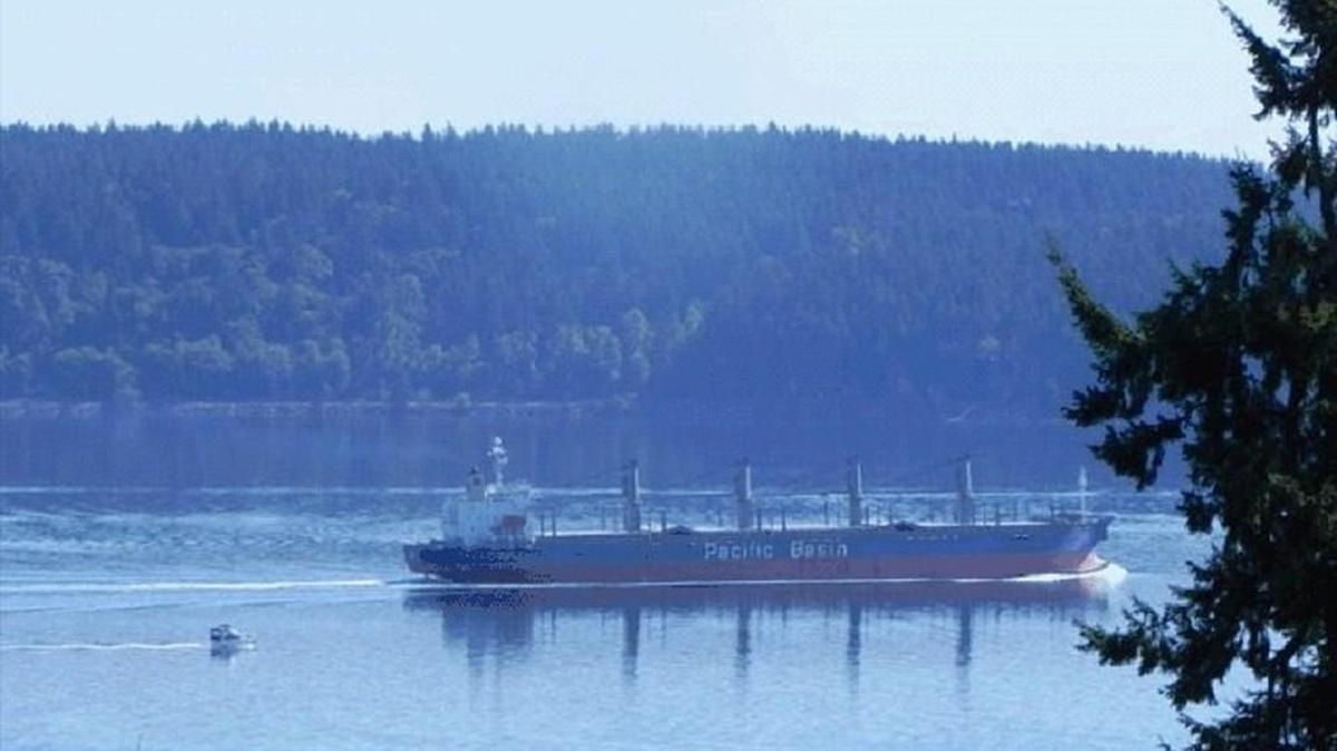 
Gold River will load logs this week at the Port of Olympia.
