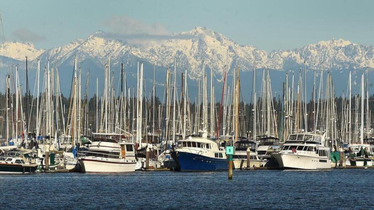 Freedom Boat Club is coming to the Port of Olympia’s Swantown Marina in May.