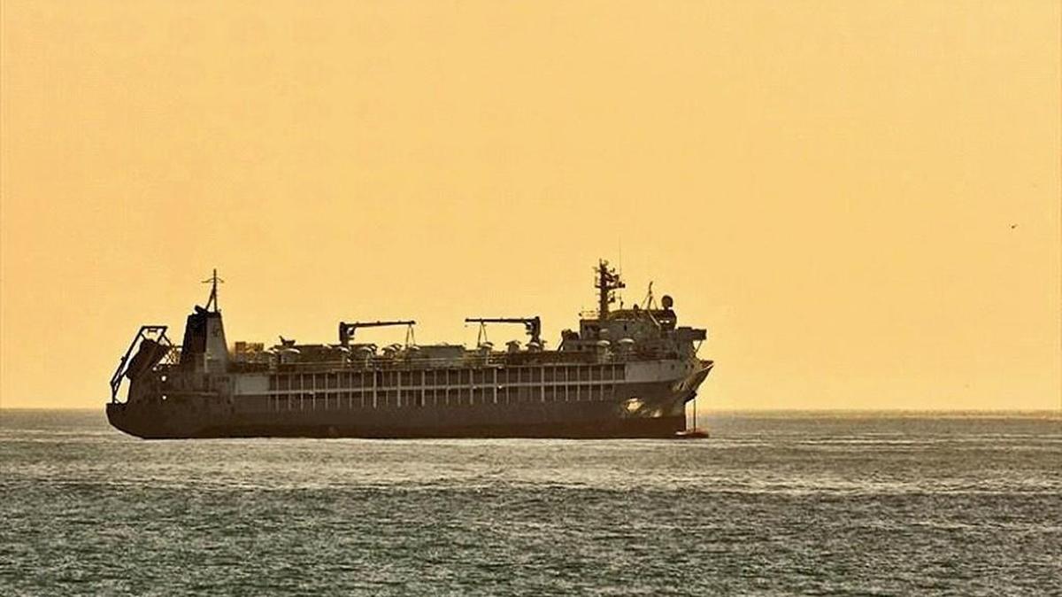 The Angus Express is expected to arrive Wednesday at the Port of Olympia.