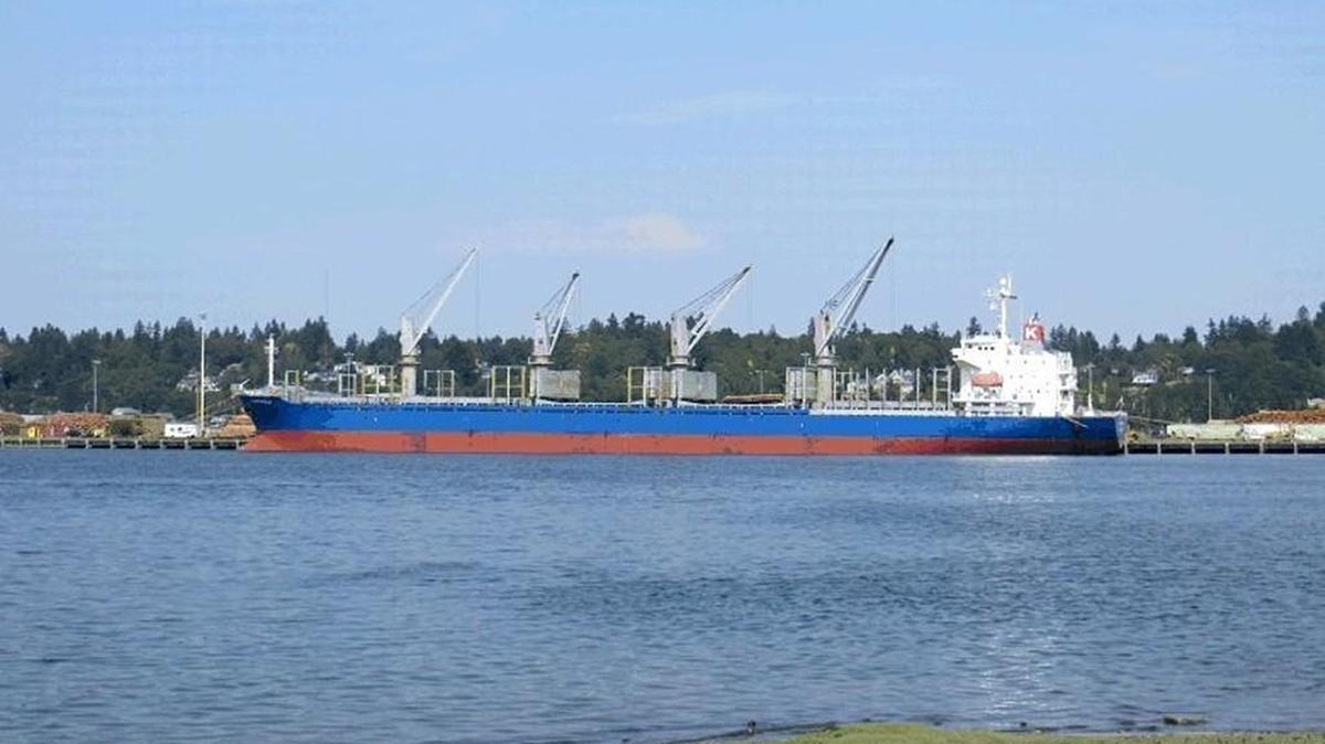 Campanula will load logs this week (week of Oct. 10) at the Port of Olympia marine terminal.