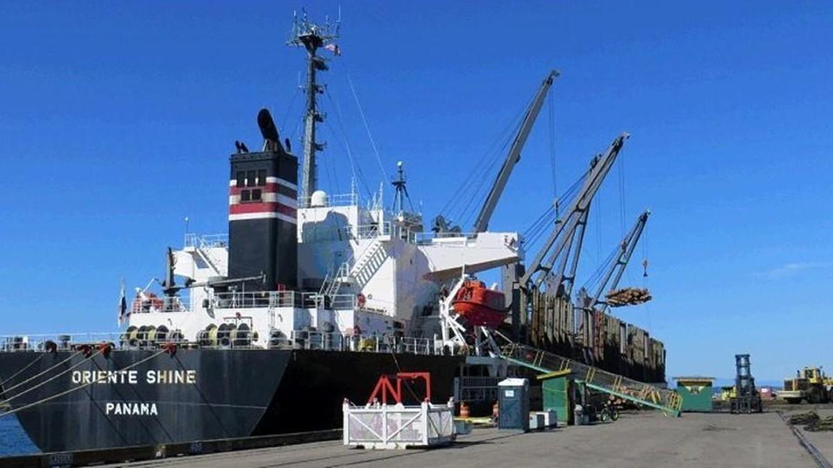 Oriente Shine will load logs at the Port of Olympia this week.