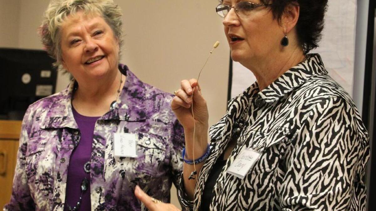 Ice Chips Candy co-owners Bev Vines-Haines (left) and Charlotte Clary were recognized by the U.S. Small Business Administration with an encore entrepreneur award.