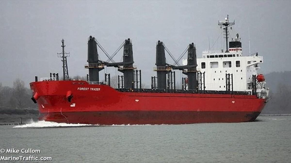 Forest Trader will load logs at the Port of Olympia marine terminal this week.