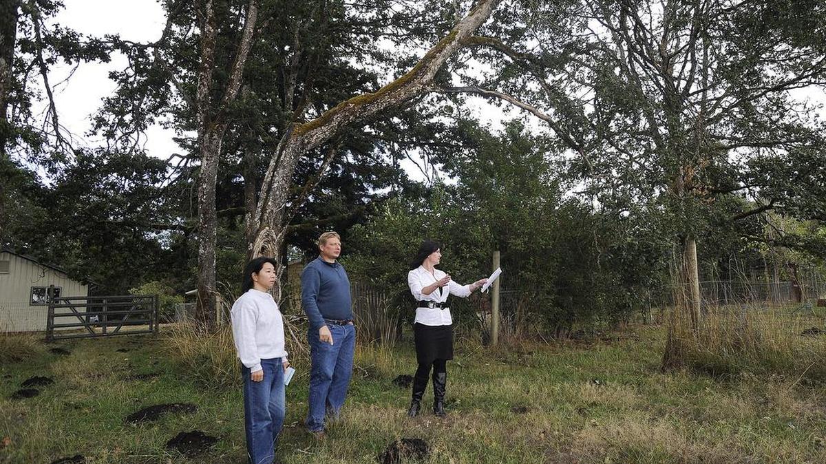 
Agent Cherie McNeal, right, with Coldwell Banker Evergreen Olympic Realty shows Gerry and Sachi Hacker the land surrounding a Marvin Road-area home. 
