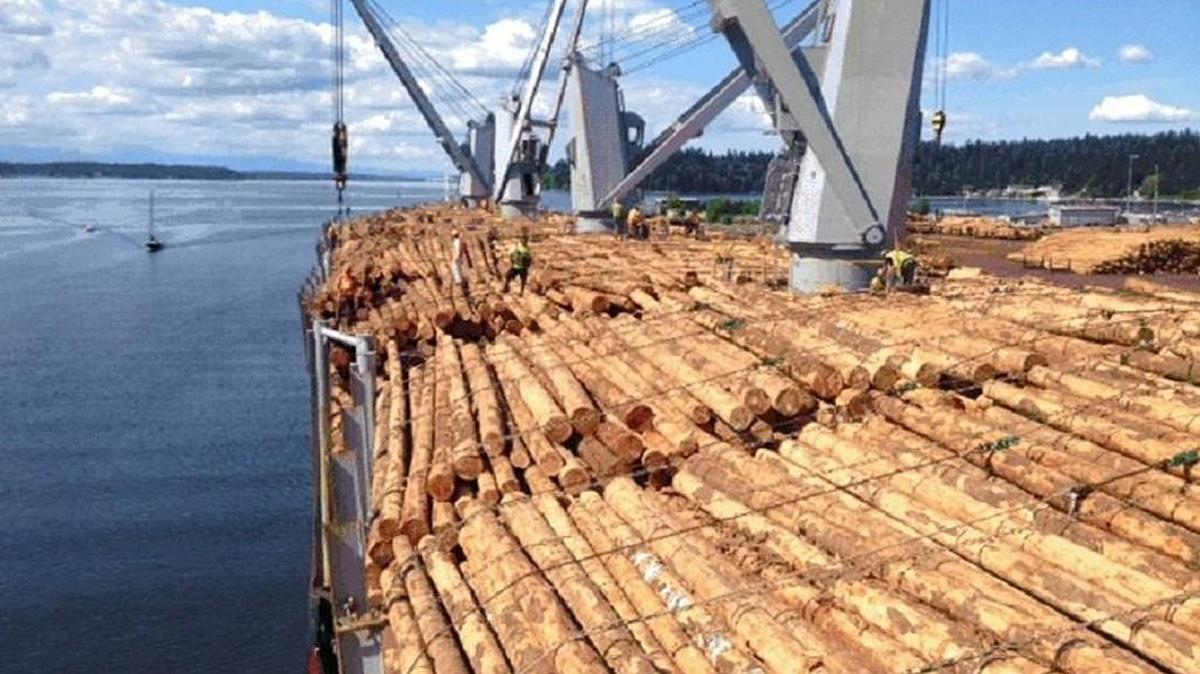 Aster K will load logs through Aug. 15 at the Port of Olympia.