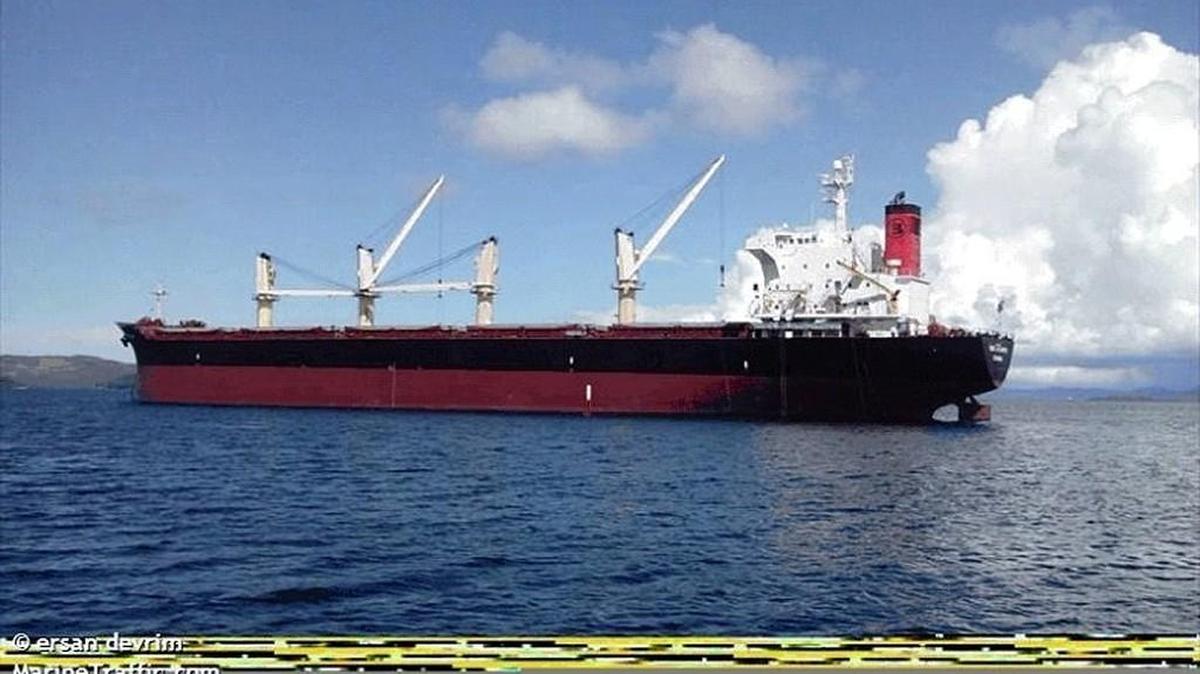 Ince Atlantic is expected to unload organic corn at the Port of Olympia this week.