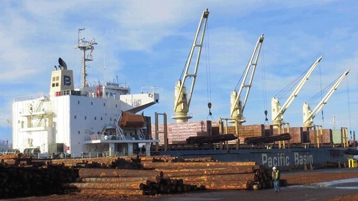Port Pegasus will load logs this week at the Port of Olympia.