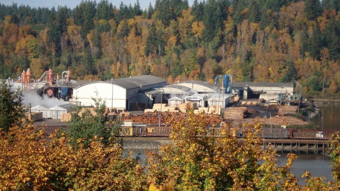 The state Employment Security Department issued a Worker Adjustment and Retraining Notice on Wednesday concerning the closure of Olympic Panel Products of Shelton.