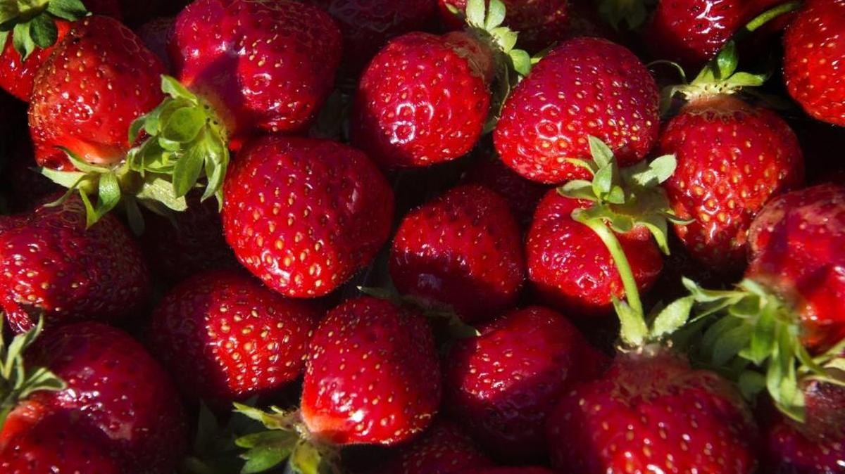 The Olympia Farmers Market will celebrate the berry season with its annual festival from 11 a.m. to 3 p.m. Saturday.