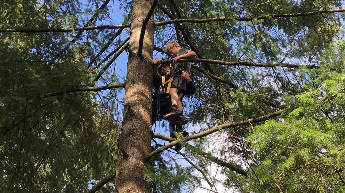 Riverside Fire Authority helped a boy in a tree Sunday afternoon in Centralia after he tried to rescue a cat in the tree. The boy was cold, but unharmed, while the cat got down on its own.
