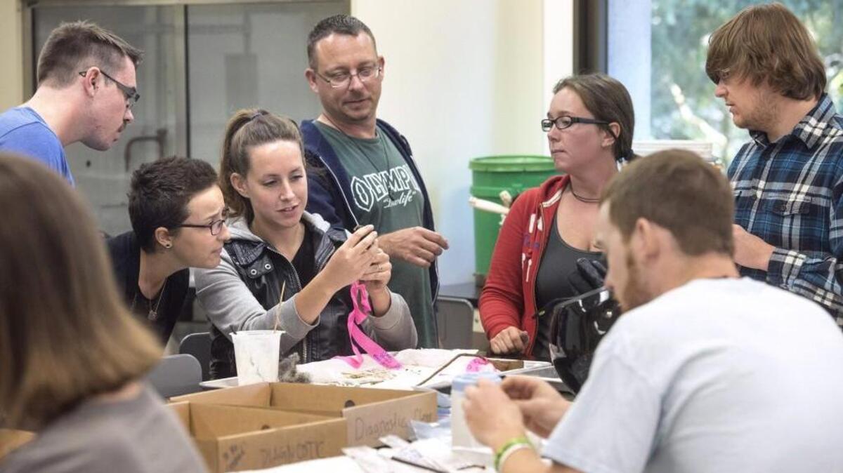 
Annie Hesketh (third from left) is surrounded by classmates as they try to determine what a mechanical metal piece was used for during their archeology class at The Evergreen State College in Olympia on Wednesday, Aug. 26, 2015. From left are sophomore Alexander Butler, undergraduate research fellow Lexi Walsh, senior Brandon Parker, field supervisor Erin Gamble, junior Dominic Schiro and senior Dakota Lorenz. 
