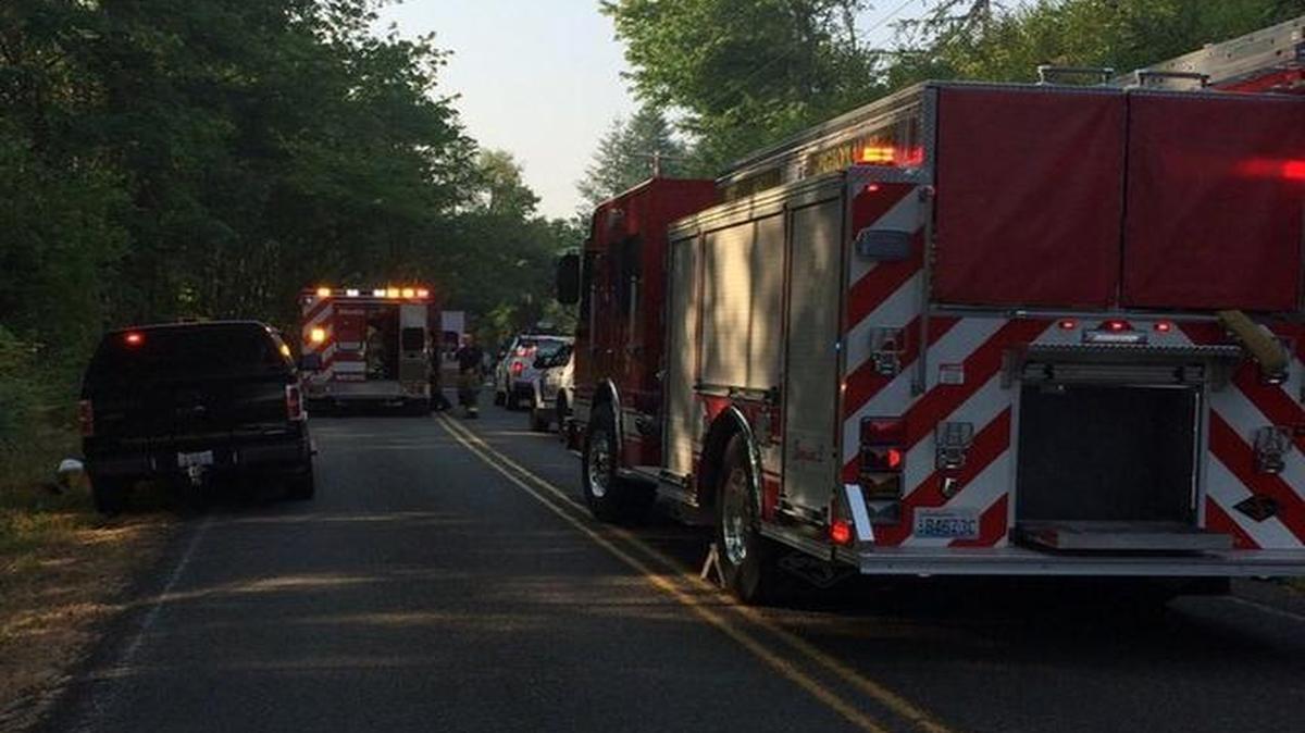 One person was killed in a head-on collision near Tenino on Wednesday.