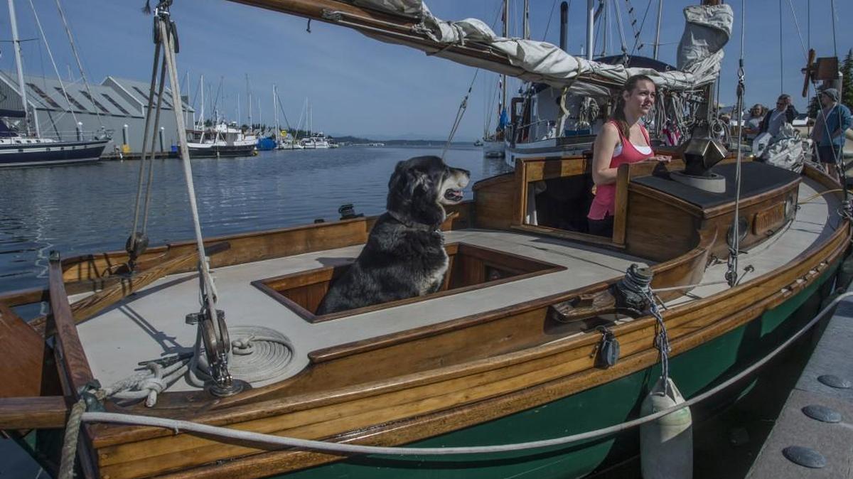 Danielle Ewart of Grapeview and her first mate and canine companion T2 enjoy the sun at last year’s Wooden Boat Fair.