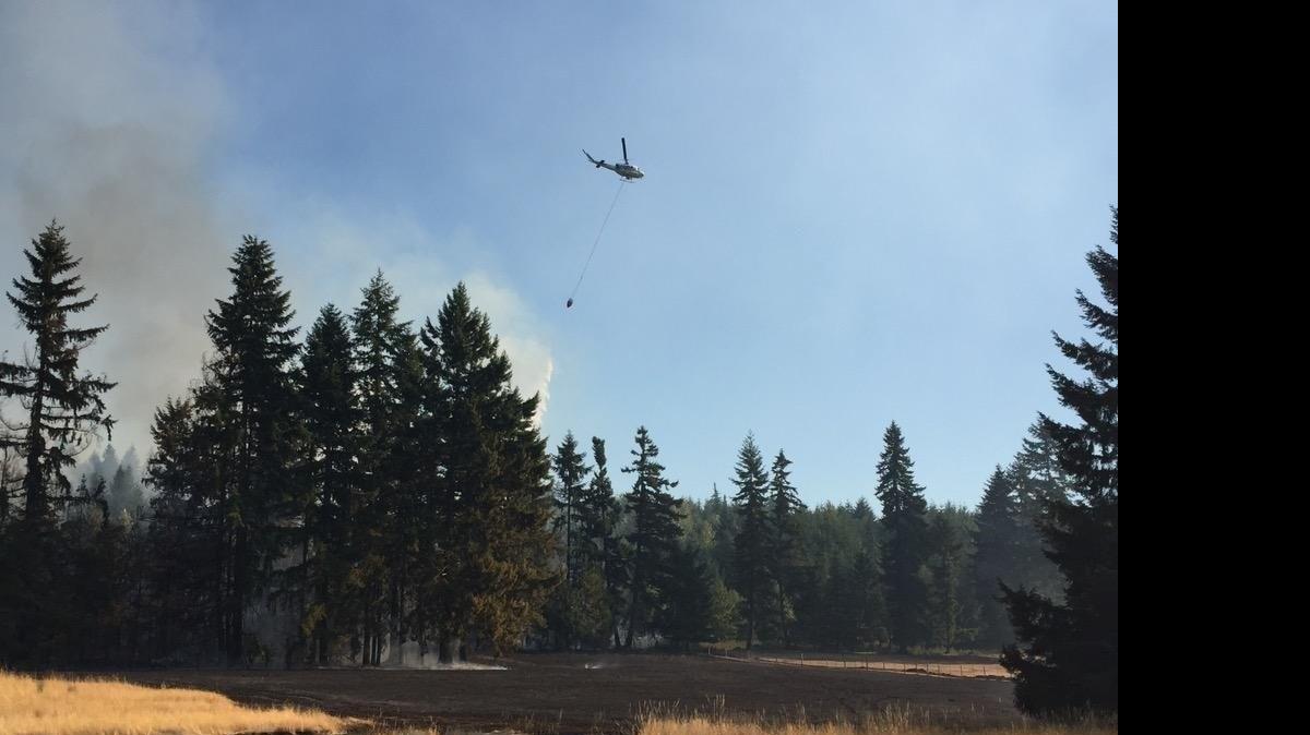 
Several fire crews, including Lacey Fire District 3, worked to extinguish a 6-acre brush fire in Yelm on Saturday.
