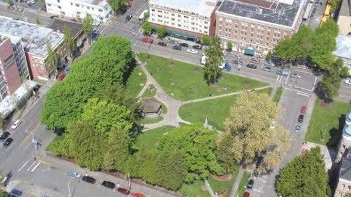 There’s an Elm tree in Olympia’s Sylvester Park that needs trimming to keep falling branches from injuring people. The eastern side of the downtown park and Washington Street SE between Legion Way and 7th Avenue will be closed Nov. 1 for the work. 