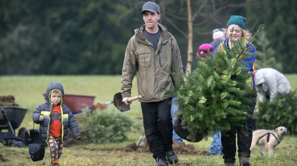 Lukas Guzoto, 4, carries the family camera as his dad, Wyatt Guzoto of Olympia, and Paige Anderson carry a Douglas fir tree during the Stream Team of Thurston County’s holiday tree-planting event at Woodland Creek Community Park in Lacey on Saturday.