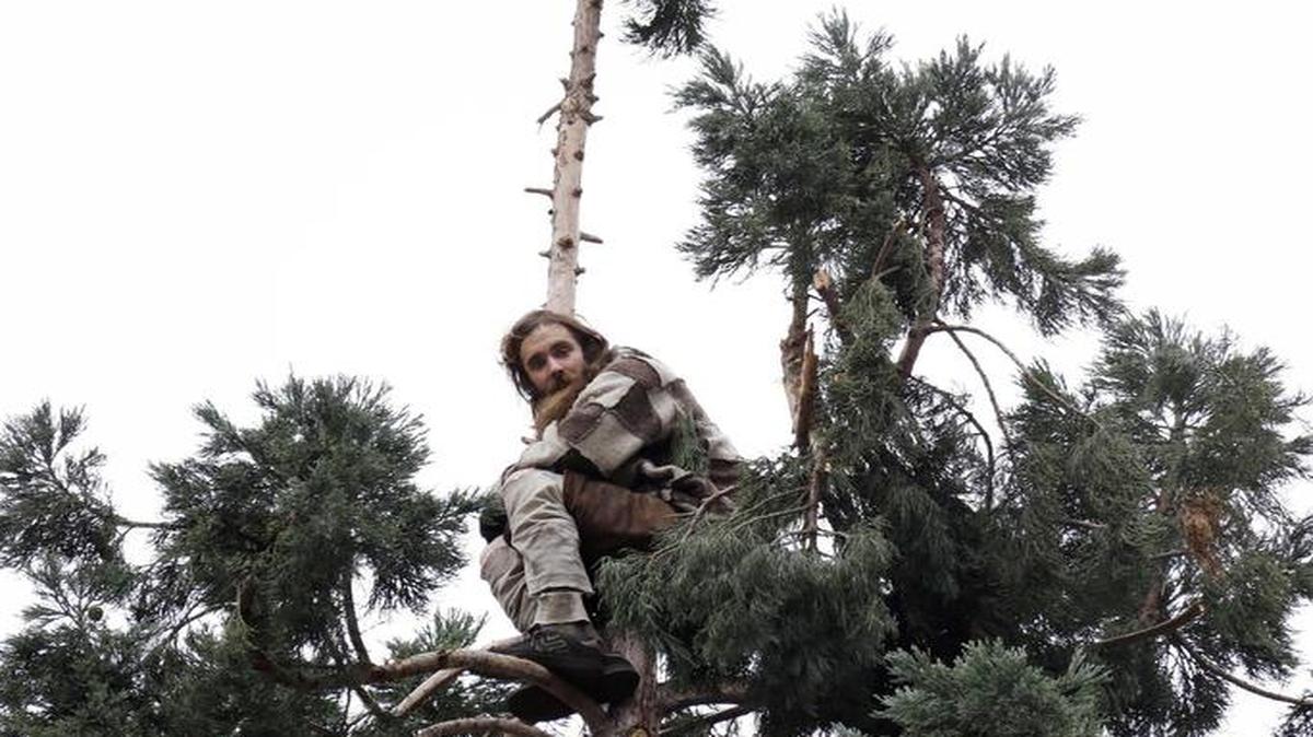 A man who spent 25 hours high atop a sequoia tree in downtown Seattle in March has been found incompetent to stand trial on a malicious mischief charge.