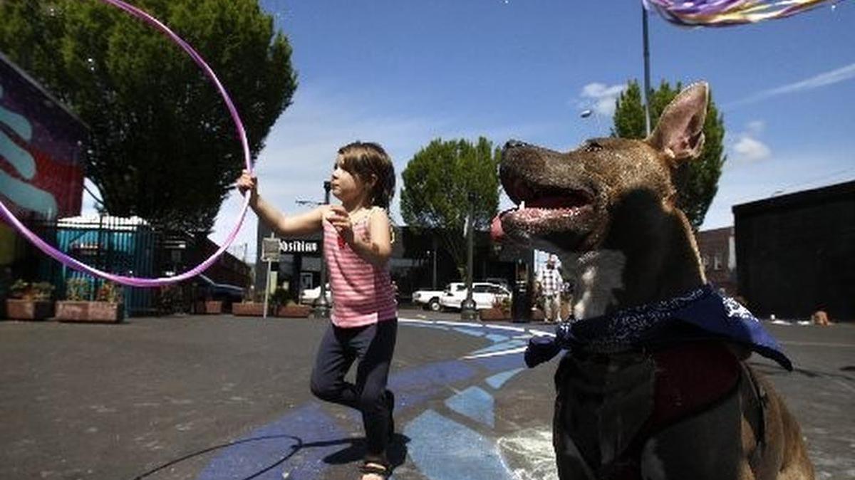 
Olympian file photo: Sailor Clancy, 4, of Olympia, and Star the dog chase after bubbles during the May Day/Beltane Community Party at the Artesian Commons park in downtown Olympia on Friday, May 1, 2015. The Thurston County Auditor’s Office is looking for people to write statements against the proposed creation of the Olympia Metropolitan Park District and other measures for the General Election Voters’ Pamphlet. 
