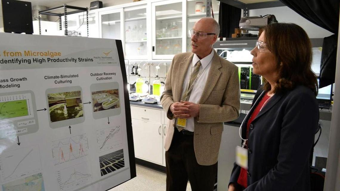 Michael Huesemann, lead researcher for the algae biofuel program at the Pacific Northwest National Laboratory in Sequim, meets with Sen. Maria Cantwell in July about algae and its potential. The project is trying to find the best strains of algae for biofuel production.