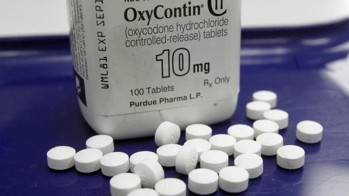 About 600 people in the state die each year from either prescription opioids or heroin, according to the Department of Health. “Opioids” is a term for natural or synthetic drugs drawn from or mimicking the opium poppy, including both heroin and prescription painkillers such as oxycodone and hydrocodone.