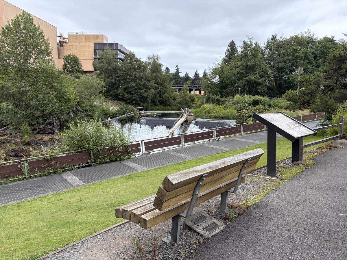 The Olympia Tumwater Foundation announced a new concert series coming to Brewery Park this summer. The four-part lineup starts July 11.