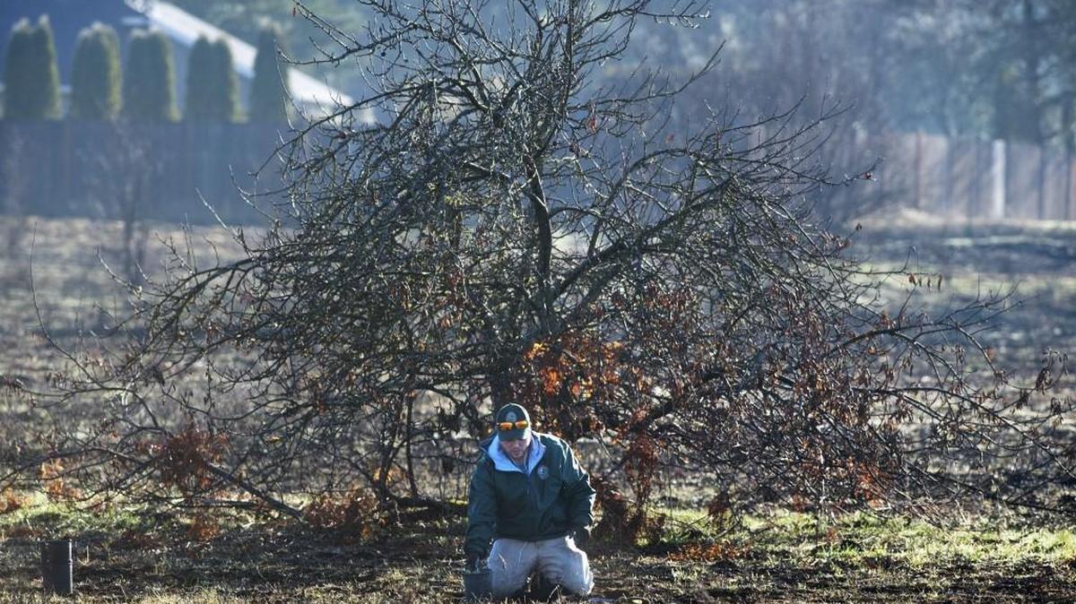 Josh Cook, a Department of Natural Resources prairie restoration specialist from Olympia, plants native seedlings in the burned area at the Scatter Creek Wildlife Area north of Grand Mound in December 2018.
