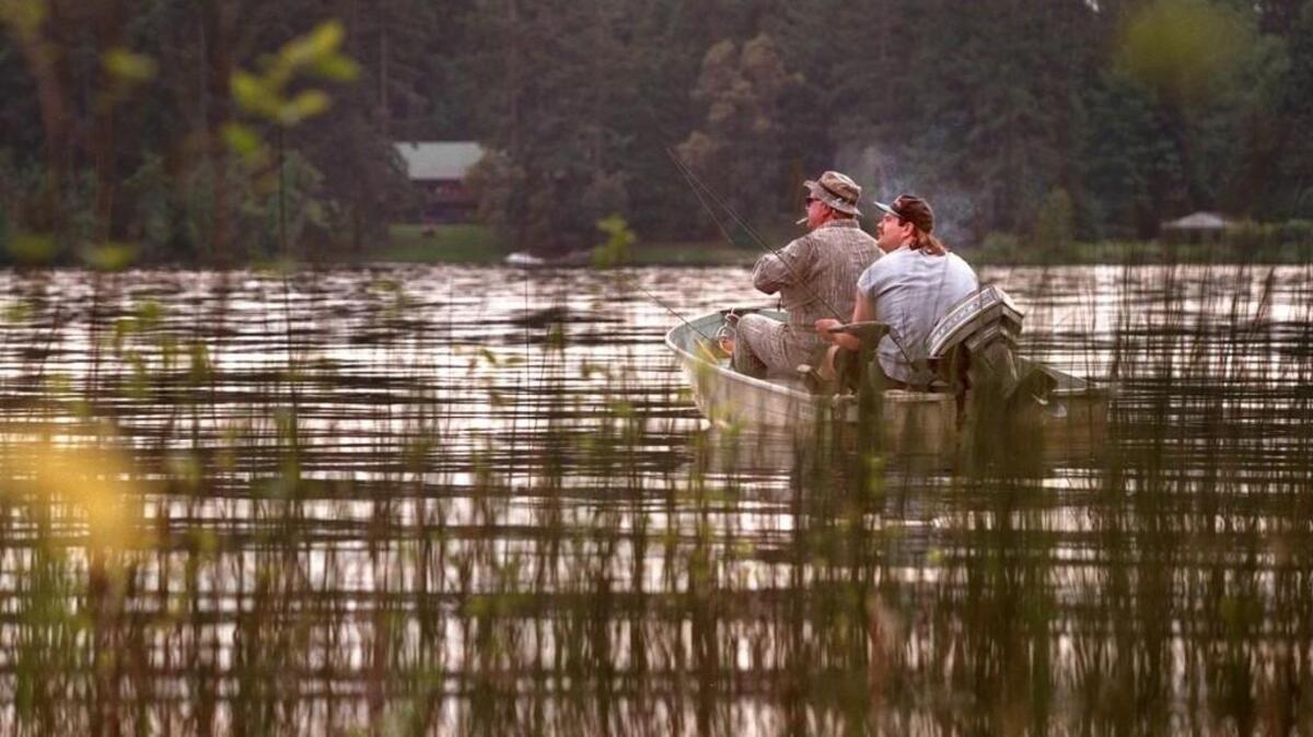 
Lacey residents who live on or near Hicks Lake mostly voiced their support on Thursday for the creation of Lake Management District No. 1.
