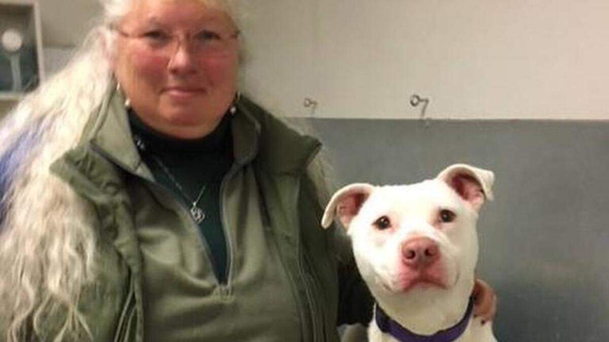 Ghost is Washington state's first deaf drug detection dog. He's pictured with trainer Barb Davenport.