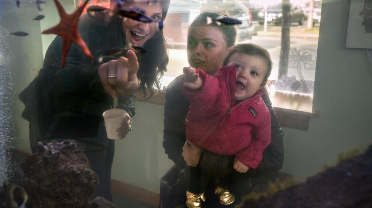 One-year-old Lennon Blankenship gets a look at the undersea life on display Saturday as she tours the Estuarium in downtown Olympia with her mom, Mariah Blankenshi, left, of Lacey, and aunt, Shannon DeBacker of Bellingham, during the Turn of the Tides Festival.