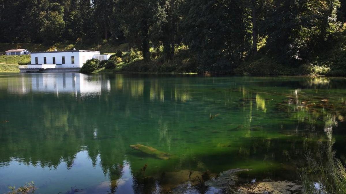 Twenty million gallons of pure groundwater bubble up from McAllister Springs, part of a series of hundreds of springs in the area, to create Olympia’s watershed at McAllister Springs Lake. The intake and pump house that has provided the city’s water supply since 1947 will be replaced with newly drilled wells about a mile away.